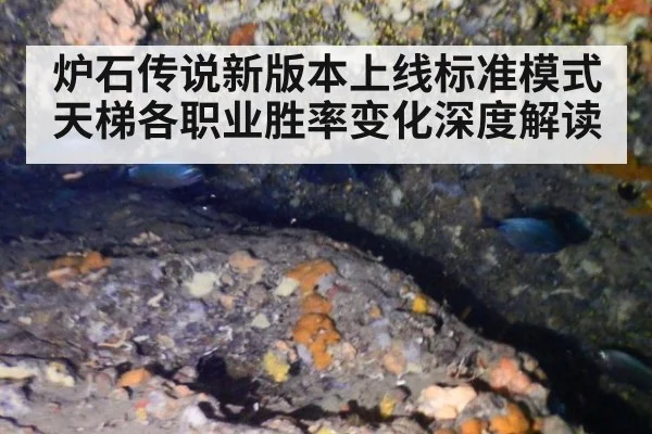 炉石传说新版本上线标准模式天梯各职业胜率变化深度解读